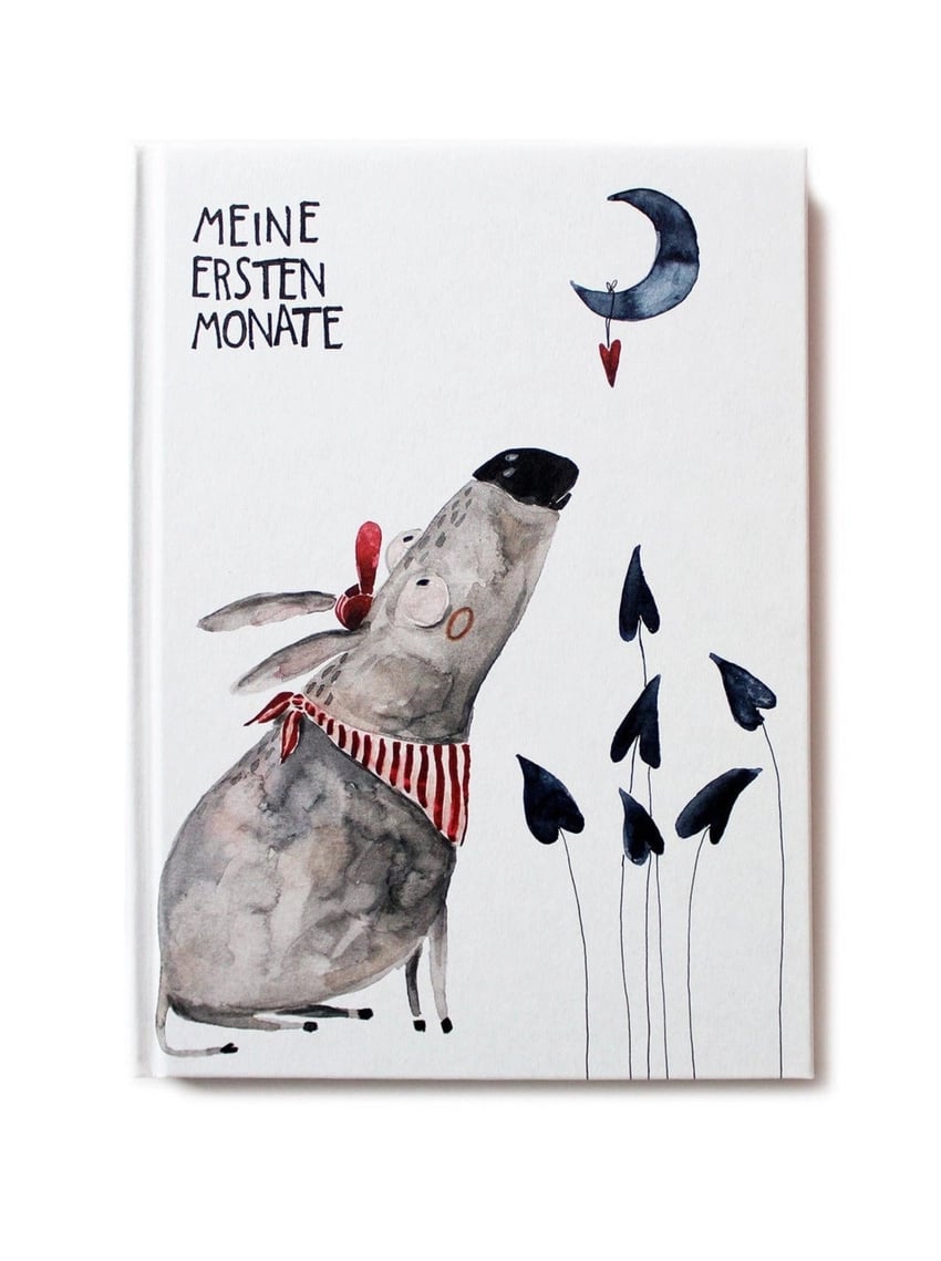 Babybuch Meine ersten Monate